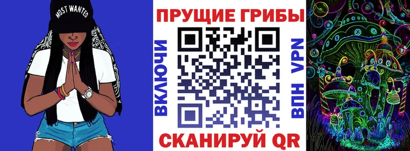 Псилоцибиновые грибы Psilocybine cubensis  MEGA   Люберцы 