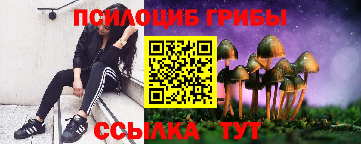 Люберцы  Галлюциногенные грибы мухоморы  Вход с VPN 